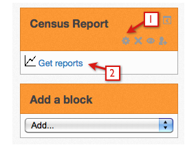 Census Report block